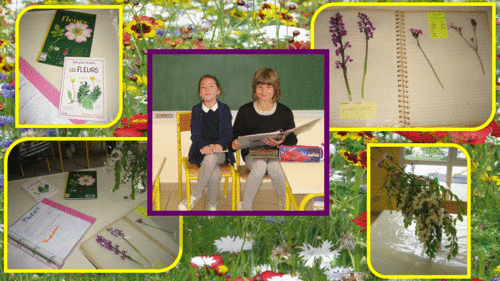 Exposé d'Alana et d'Océane sur les fleurs