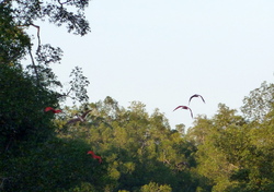 Ballade sur le tonnegrande