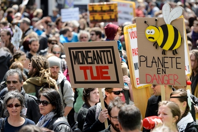 Des ONG portent plainte contre Monsanto