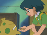 pokemon saison 6 episode 277 une nouvelle rencontre