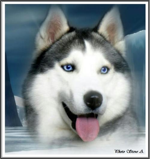 Ilouky (3 ans)
