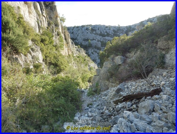 Calanques, la pointe Cacaù