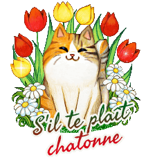 1162 Chat tulipes - Réception 07