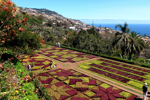 Funchal : le jardin botanique ... n 38