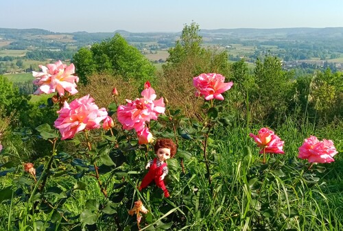 En C.Car :Penne d'Agenais et les vergers de Peyrette