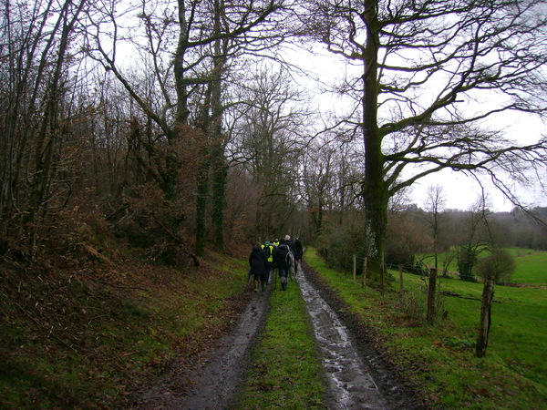 RANDONNEE AUX SALLES LAVAUGUYON . HAUTE-VIENNE .