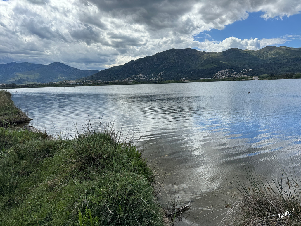 Etang de Biguglia