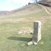 50 Borne frontière 50 et croix gravée sur roche au col de Nabarlatz 477 m)