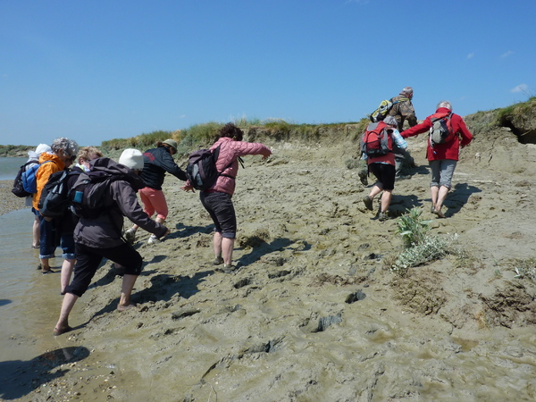 La grande aventure de la Baie de Somme