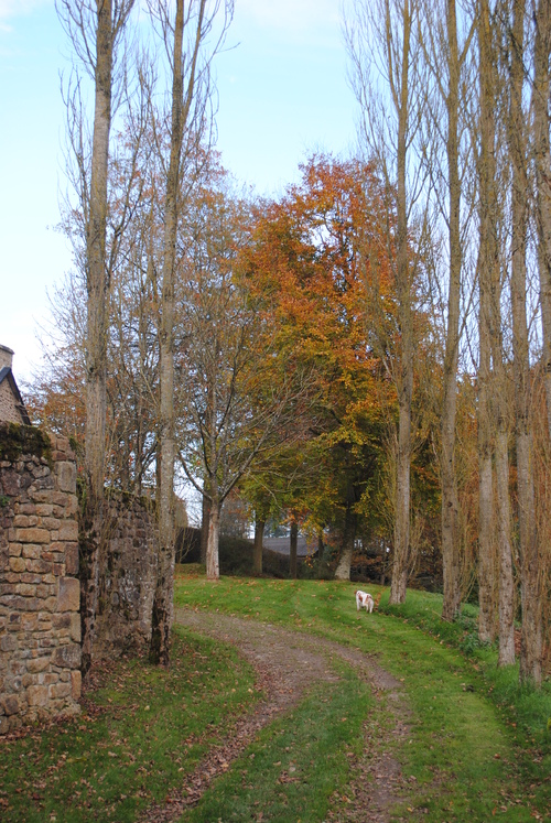 Promenade automnale