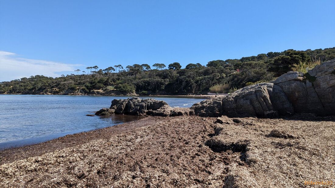 la presqu'île de Giens - 2