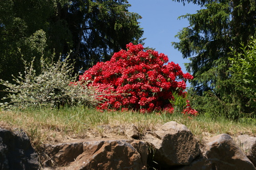 14.06.2021.Randonnée au lac d'Aydat.13 kms