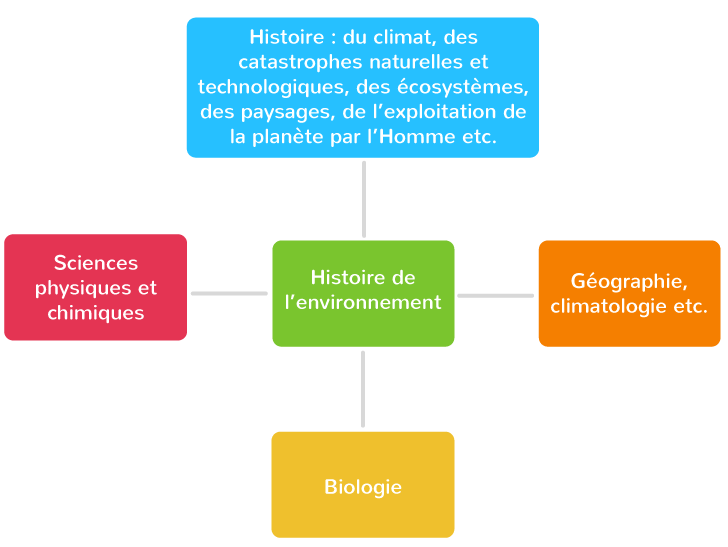 Introduction : qu&#39;est-ce que l&#39;environnement ? - Tle - Cours Histoire  géographie, géopolitique et sciences politiques - Kartable