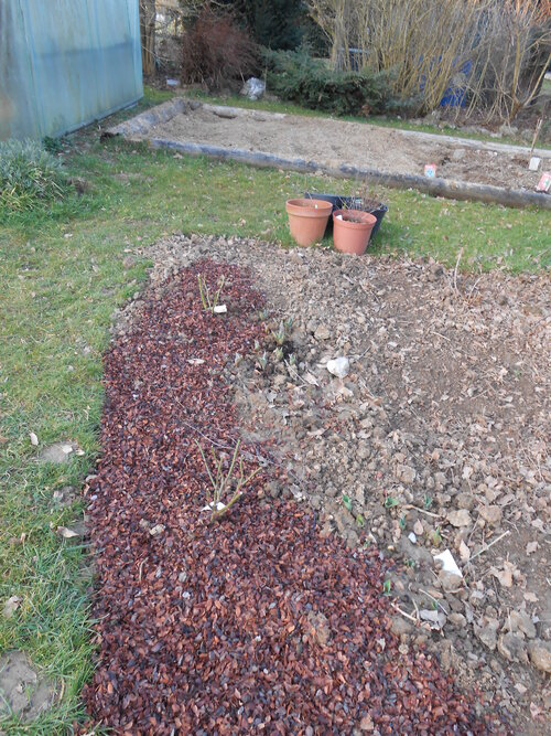 Création d'un nouveau parterre