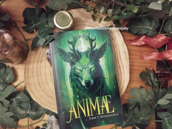 Animae, tome 3 : Renaissance (Lynn Fox)