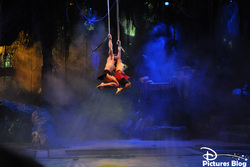 Disneyland Park (Paris) - Tarzan La Rencontre