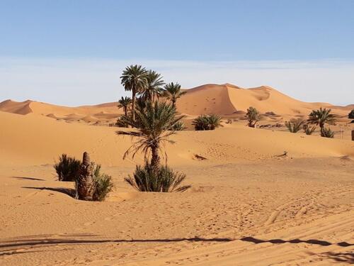 La grande dune