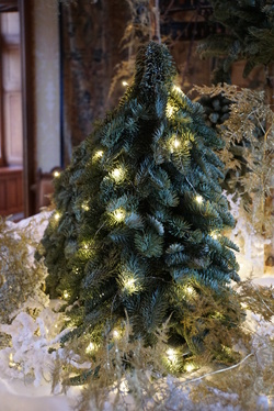 Noël à Chaumont sur Loire