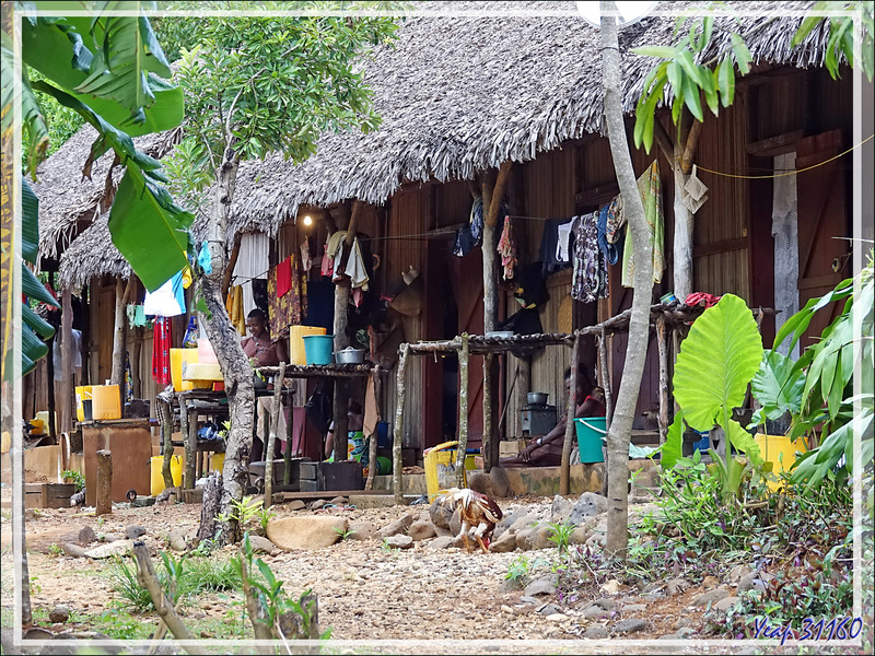 Promenade dans la forêt de Nosy Sakatia : Grande habitation traditionnelle (peut-être communautaire) - Madagascar