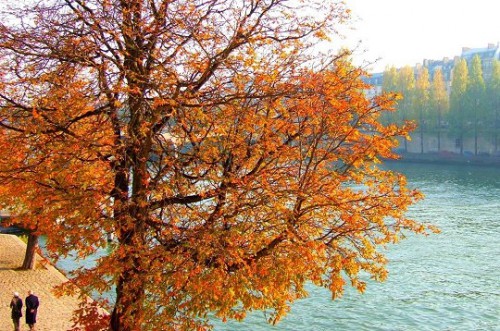 paris en automne