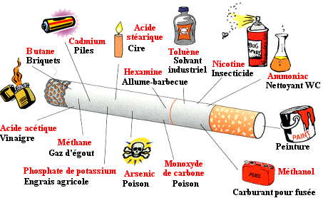 La journée mondiale sans tabac cigarette contenu