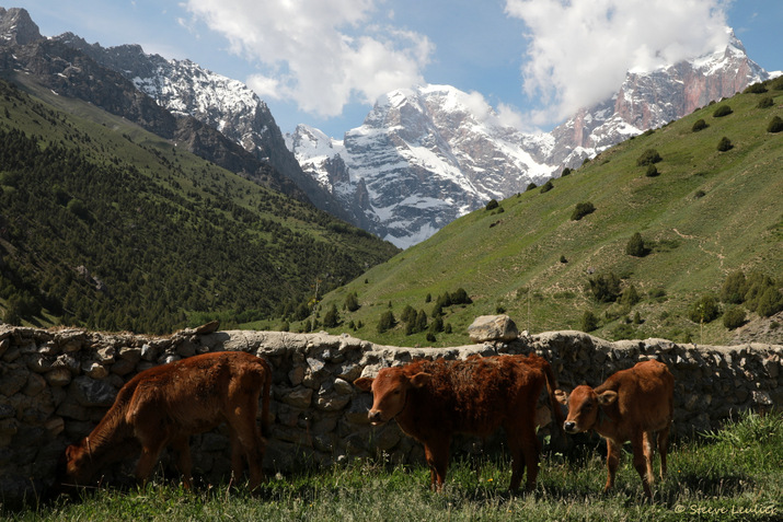 De la gorge de Sanguisafed à notre campement à proximité du lac Alaoudin, Tadjikistan