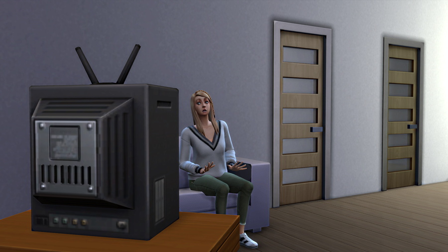 Les sims discutent 