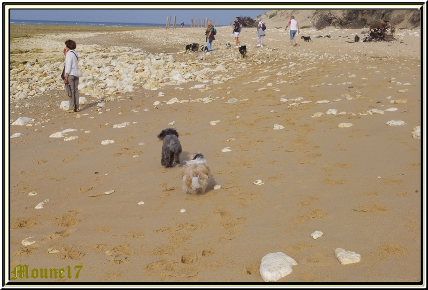 Falcon et Hermione à la plage