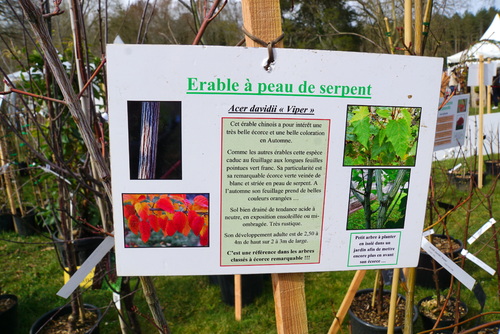 Cheverny et sa fête des plantes