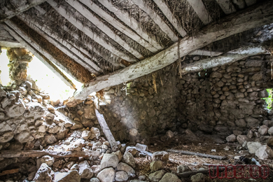 La ferme aux 1000 oiseaux