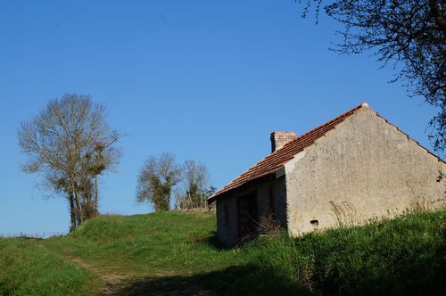 Saint Aubin de Luigné