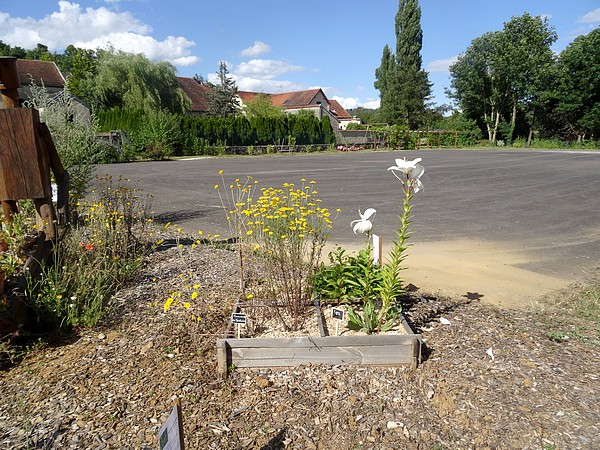 Chaumont le Bois s'est doté d'un "jardin des simples" !