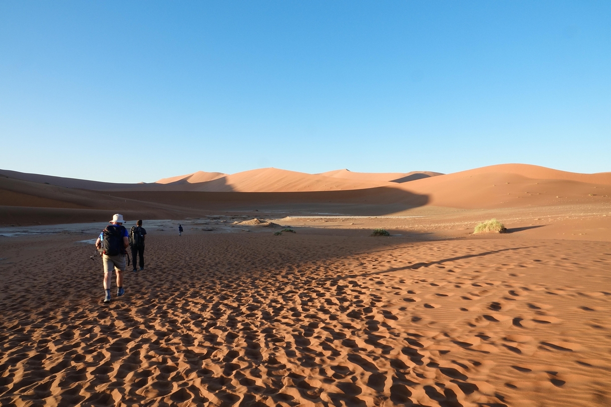 Namibie, carnet de voyage #15 La Deadvlei