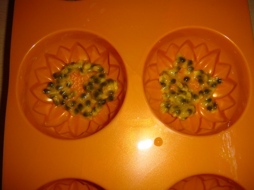 Agar Agar - Gelée passion-kiwi-orange-mandarine