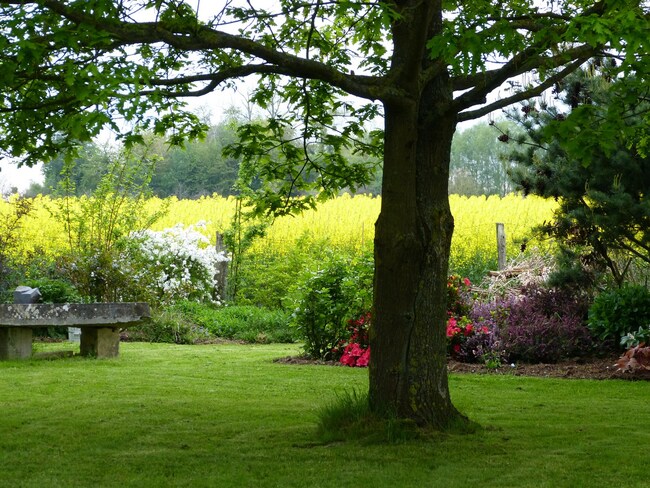 le jardin en couleurs