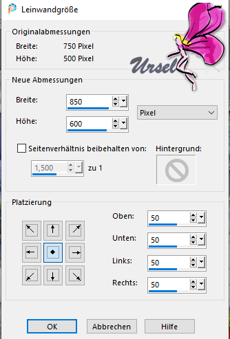 Weihnachten am Fenster