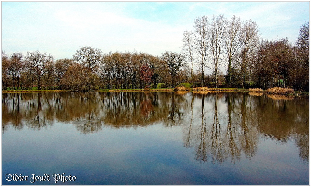 (85) Vendée - La Chaize le Vicomte (10) - Etang communal "Les Filés"