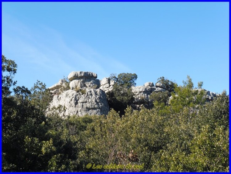 Var, la forêt des Morières