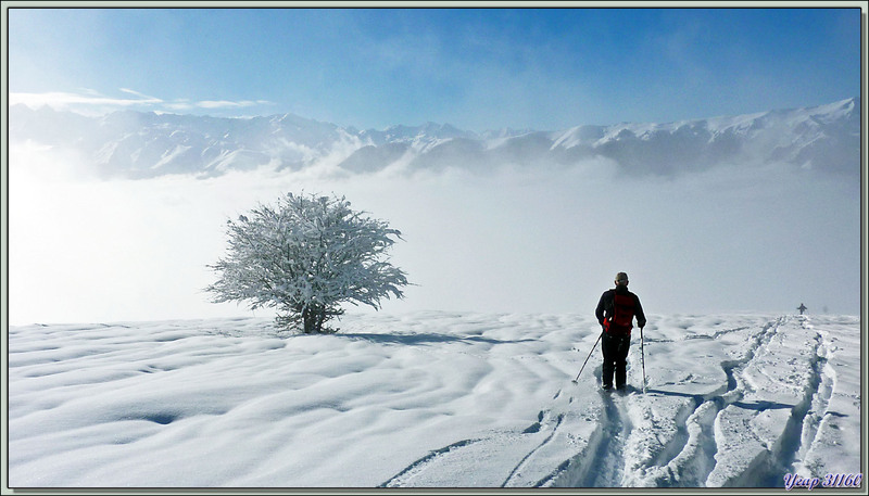 Randonnée raquettes vers la Cabane de Salode (1550 m): panorama - Gouaux-de-Luchon - 31