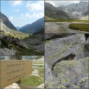 A la découverte des Hautes Pyrénées (2011)