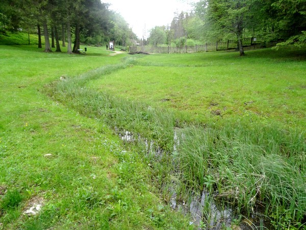 Une randonnée aux Sources de la Seine a été organisée par Châtillon-Scènes et les randonneurs de la MJC Lucie Aubrac