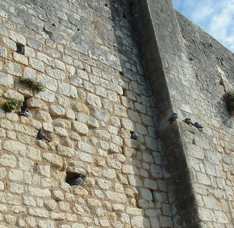 Chauvigny ,la ville haute et les gigantesques murailles du château baronnial » un géant en ruine