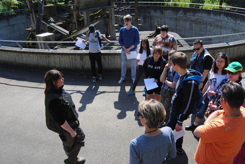 La sortie au zoo de Mulhouse.