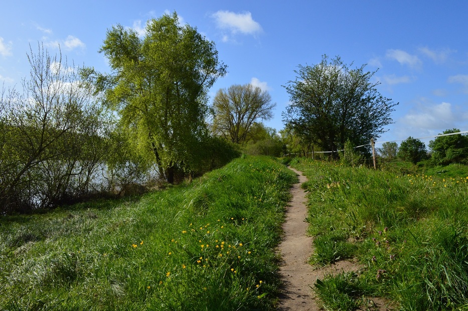 Rando Beaugency/Lestiou