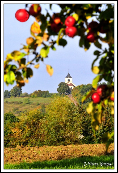 Automne par Jean-Pierre Gurga