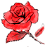 roserouge roserouge