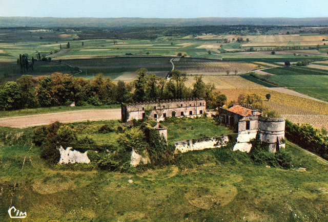 Blog de sylviebernard-art-bouteville : sylviebernard-art-bouteville, La Renaissance du Château de Bouteville (Charente).