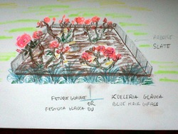 Projet roseraie/Rose garden project