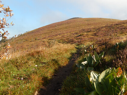 Les crêtes des Vosges 3 de Chatenois à Thann