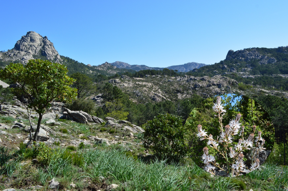 L'Ospedale, les Aiguilles de Bavella, la Solenzara : une journée dans la montagne corse